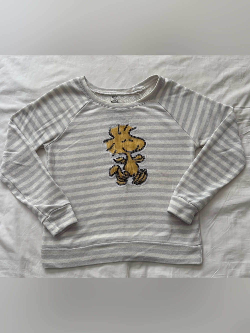 Gray & Creamy White Striped Sweatshirt with Woodstock
